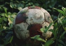 Почему для ставок на спорт стоит выбирать именно букмекерскую контору Pin Up? Почему Pin Up