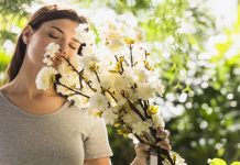 Весна приходит не одна: как бороться с аллергией на пыльцу? Аллергия на пыльцу