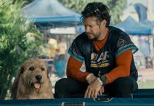 “Артур, ты король” Саймона Селлана Джонса. Славный путь бродячего пса Фильм Артур, ты король