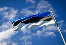 Отзывы иммигрантов о возможностях для бизнеса в Эстонии Бизнес в Эстонии