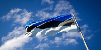 Отзывы иммигрантов о возможностях для бизнеса в Эстонии Бизнес в Эстонии