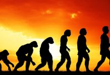 Новая теория «О происхождении, разнообразии и эволюции живых организмов на Земле» Новая теория О происхождении, разнообразии и эволюции живых организмов на Земле