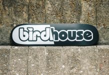 «Ради него Хоук заложил свой дом»: история бренда Birdhouse Скейтборд Birdhouse