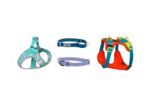 Бренд товаров для домашних животных Triol выпустил новинки для безопасных прогулок Шлейки Triol