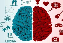 Познание мышления мозга Познание мышления мозга