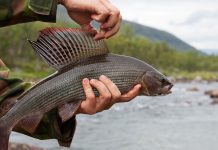 В Сковородино прошли захватывающие соревнования по рыбной ловле Рыбалка в Сковородино