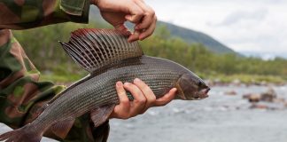 В Сковородино прошли захватывающие соревнования по рыбной ловле Рыбалка в Сковородино
