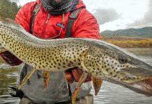 В Сковородино прошли захватывающие соревнования по рыбной ловле Рыбная ловля в Сковородино