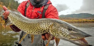 В Сковородино прошли захватывающие соревнования по рыбной ловле Рыбная ловля в Сковородино