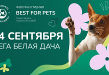 Премия «BEST FOR PETS» объявляет о своем возвращении и открытом приеме заявок! BEST FOR PETS 2024