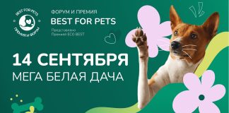 Премия «BEST FOR PETS» объявляет о своем возвращении и открытом приеме заявок! BEST FOR PETS 2024