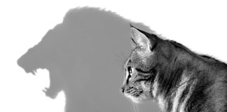 5 способов выглядеть уверенно в глазах окружающих Уверенная личность