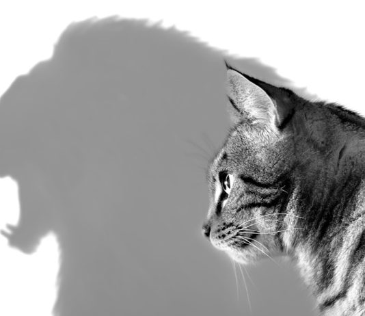 5 способов выглядеть уверенно в глазах окружающих Уверенная личность