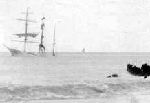 Запоздавшее письмо, или Белый Лев Святой Елены Белый Лев Святой Елены