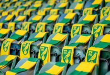 «Горожане умерли, но канарейки ещё живы»: история «Норвич Сити» Норвич Сити