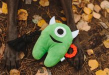 Страшно весело: хэллоуинские игрушки, которые полюбит ваш питомец Хэллоуинские игрушки для собак