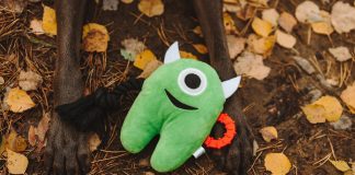 Страшно весело: хэллоуинские игрушки, которые полюбит ваш питомец Хэллоуинские игрушки для собак