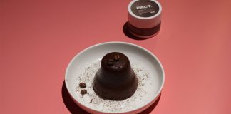 Rébellion The Palace of Youth x ART&FACT: кофейная панна-котта Кафе The Palace of Youth