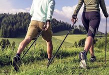 Польза скандинавской ходьбы Польза скандинавской ходьбы