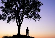 Как родология помогает в бизнесе Родология для бизнеса