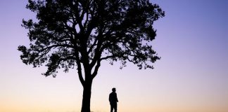 Как родология помогает в бизнесе Родология для бизнеса