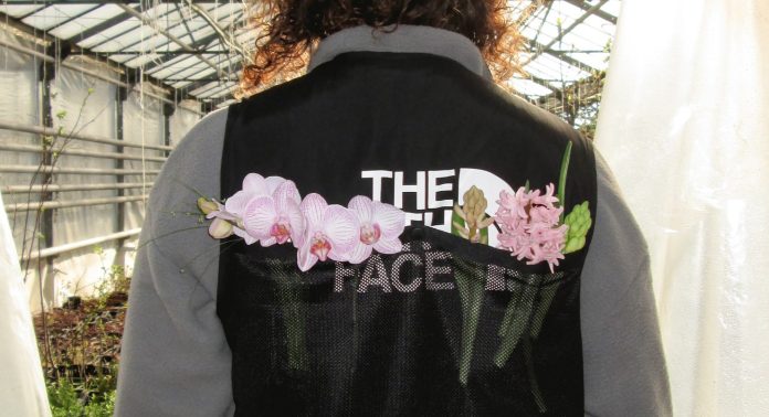 Blooming season Hiker