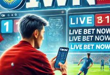 Настольные игры на 1win — лучшие развлечения для любителей классики 1win для игроков из Кыргызстана