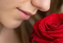 Цветочный код: гид для мужчин по выбору букета, который впечатлит ее без лишних слов Гид по выбору букета