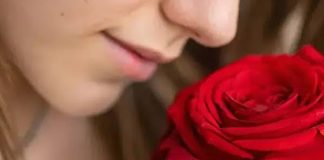 Цветочный код: гид для мужчин по выбору букета, который впечатлит ее без лишних слов Гид по выбору букета