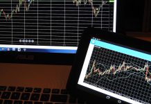 Форекс-трейдинг для спортсменов: дополнительный доход или риск? Форекс-трейдинг для спортсменов