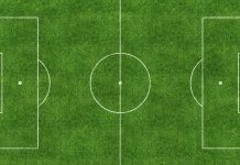 Краудфандинг в спорте: принципы работы Футбольное поле