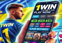 Обзор слотов на официальном сайте 1win Слоты 1win