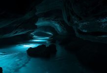 Откуда на Земле появилась вода Откуда на Земле появилась вода