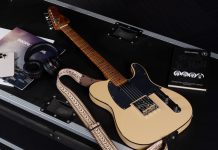 Bear Music. Гитары на каждый день и на всю жизнь Гитары Bear Music