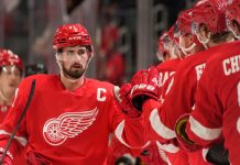 НХЛ: оценка перспектив «Детройт Ред Уингз» Детройт Ред Уингз