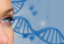 Родовой код: Что написано в ДНК Родовой код