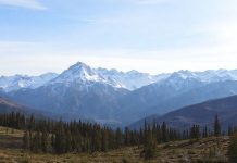 Туры на Алтай: горные озера, священные курганы и Чуйский тракт Туры на Алтай