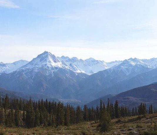 Туры на Алтай: горные озера, священные курганы и Чуйский тракт Туры на Алтай