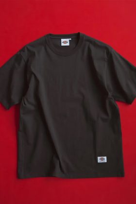 Dickies x thisisneverthat SS26