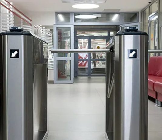 Как выбрать направление тренировок в зависимости от типа телосложения и метаболических особенностей Как выбрать направление тренировок в зависимости от типа телосложения и метаболических особенностей