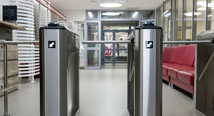 Как выбрать направление тренировок в зависимости от типа телосложения и метаболических особенностей