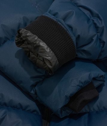 Зенит x Anteater