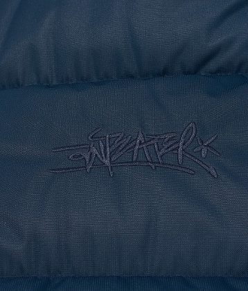 Зенит x Anteater