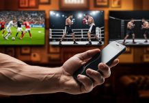 Мужской взгляд на спорт: как оставаться в курсе главных событий в мире футбола, бокса и ММА без лишнего шума Мужской взгляд на спорт