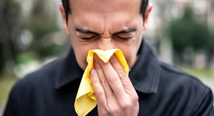 Сезонная аллергия