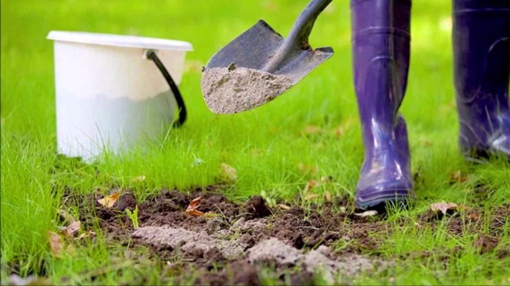 работа по улучшению участка