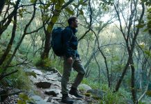 Весенний хайкинг: 5 маршрутов для тех, кто хочет увидеть пробуждение природы Весенний хайкинг