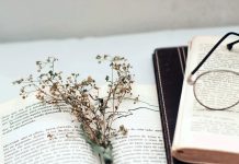 Курсы повышения квалификации для филологов: обзор, преимущества и советы по выбору Курсы повышения квалификации для филологов